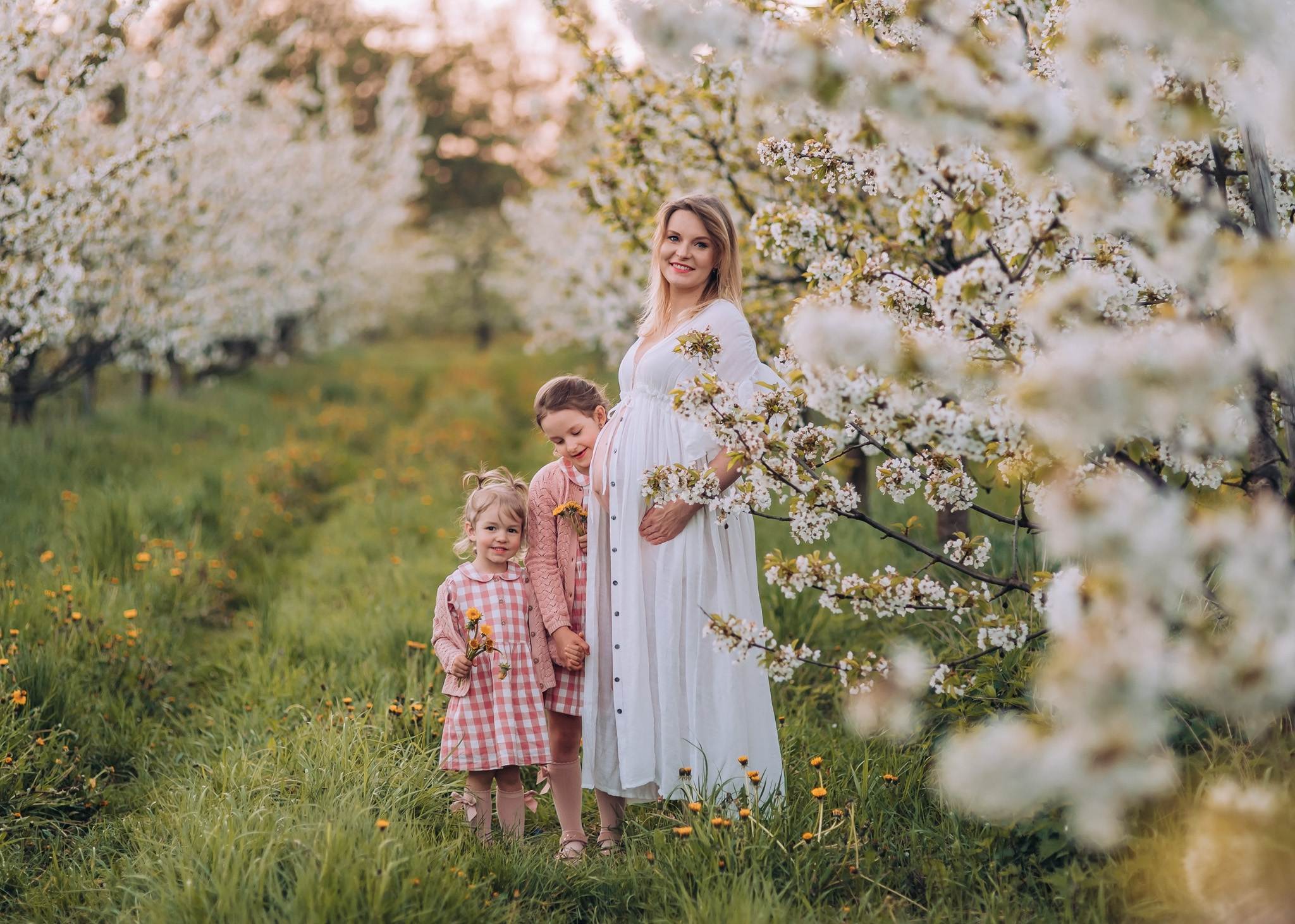 wiosenna sesja rodzinna i ciążowa w kwitnącym sadzie pod warszawa fotografia tarczyn konstancin wilanów piaseczno